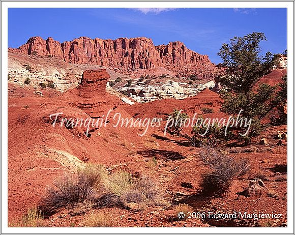 450520   The wilderness of Capital Reef